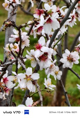 korkuteli büyükköy